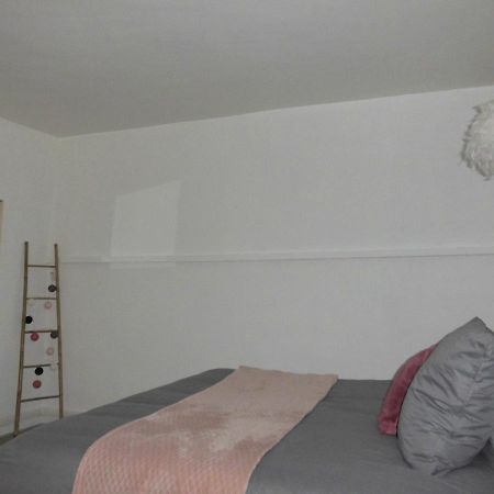 Appartement La p'tite maison à Poncins Extérieur photo